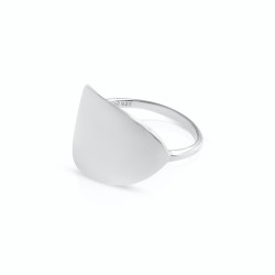 De aanpasbare zilveren ovale ring van de vrouw
