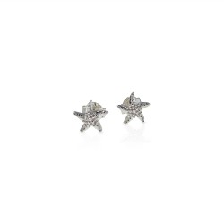 Boucles oreilles étoile mer