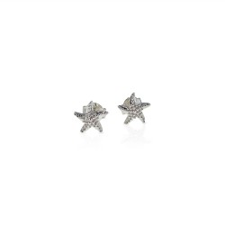 Starfish earrings