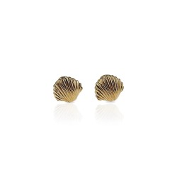 Vermeil seashell earrings