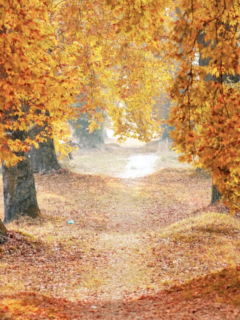 tendance bijoux automne