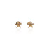 Boucles oreilles étoile mer