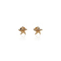 Boucles oreilles étoile mer