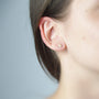 Boucles oreilles étoile mer