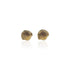 Boucles oreilles coquillage vermeil