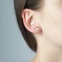 Boucles oreilles coquillage vermeil